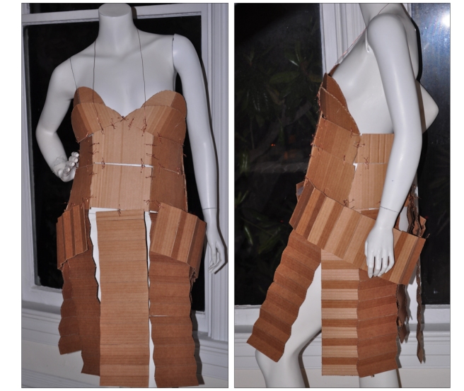 Cardboard Dress